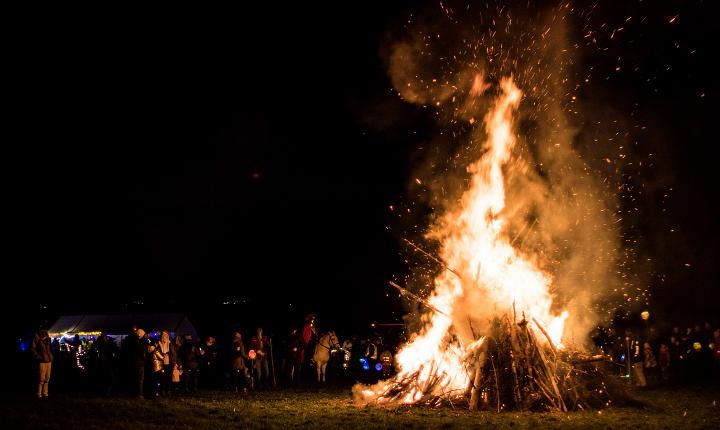 Bild: 20231111-190025.jpg